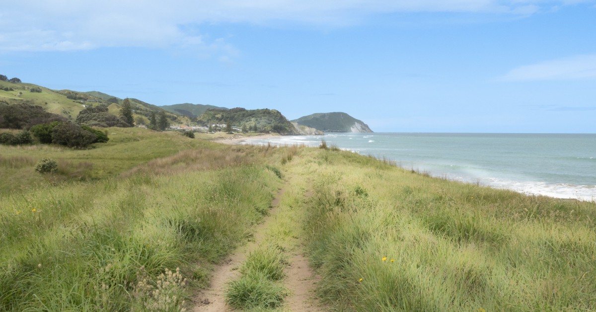 Tapuwae Tairawhiti Trails logo