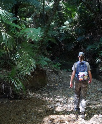 Part of the track follows a stream with several stream crossings, photo by Gillian Ward