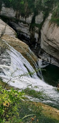 Te Reinga Falls, Photo by Gay Young