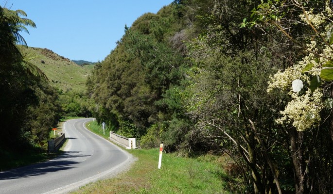 Tuturi Stream bridge, Tiniroto Road