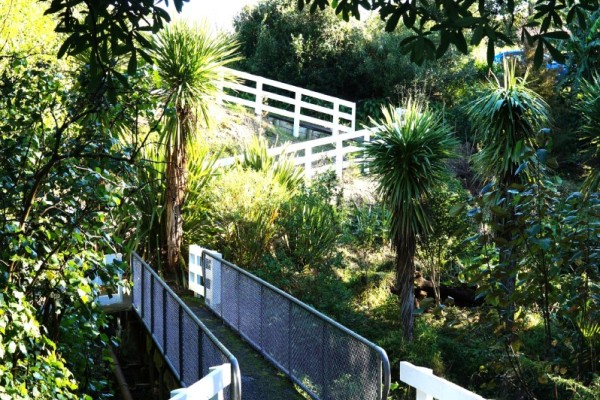 Tairāwhiti Museum - Inner Kaiti footbridges